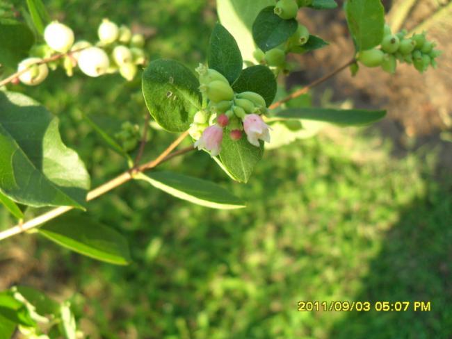 Name:  076.jpg
Views: 700
Size:  41.5 KB