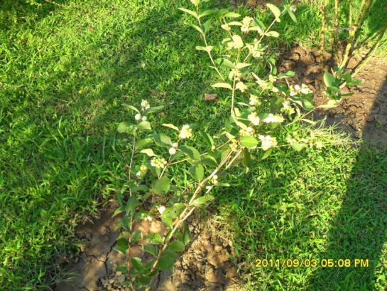 Name:  077.jpg
Views: 697
Size:  73.8 KB