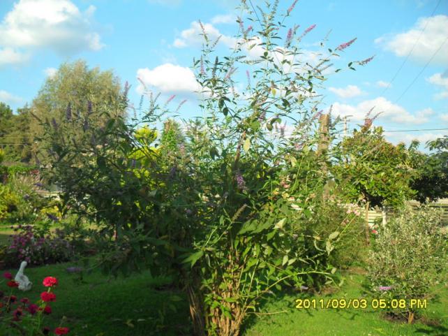 Name:  080.jpg
Views: 674
Size:  70.9 KB