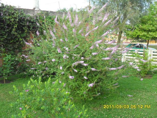 Name:  094.jpg
Views: 690
Size:  71.4 KB