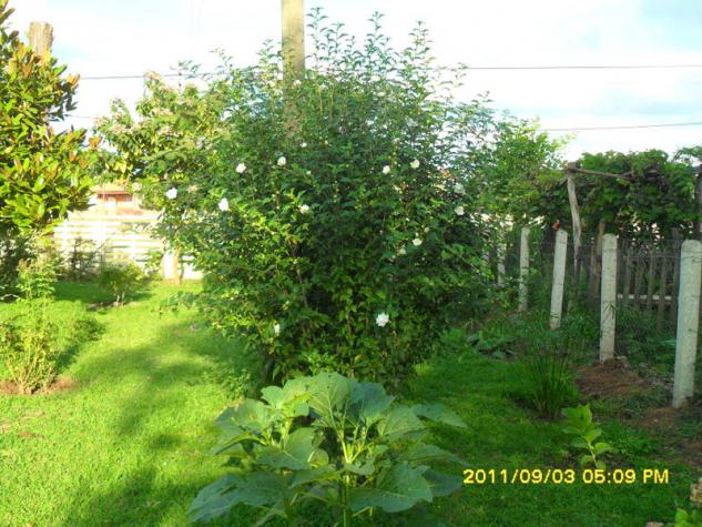 Name:  083.jpg
Views: 698
Size:  70.9 KB