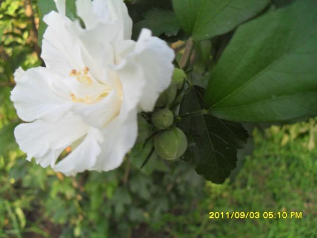 Name:  084.jpg
Views: 681
Size:  31.1 KB