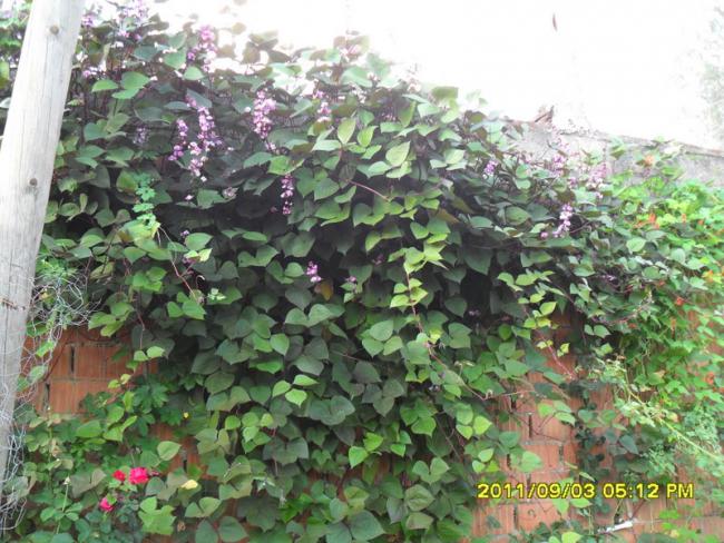 Name:  100.jpg
Views: 680
Size:  69.2 KB