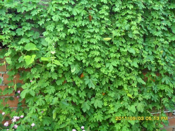 Name:  105.jpg
Views: 728
Size:  73.6 KB