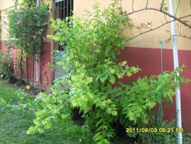 Name:  135.jpg
Views: 680
Size:  71.0 KB