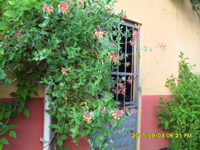 Name:  131.jpg
Views: 654
Size:  67.6 KB