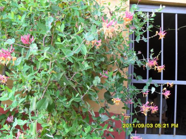 Name:  132.jpg
Views: 645
Size:  72.5 KB
