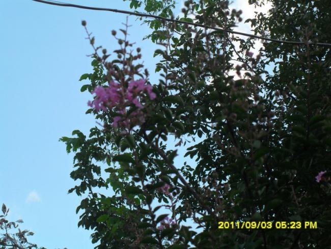 Name:  140.jpg
Views: 661
Size:  64.2 KB