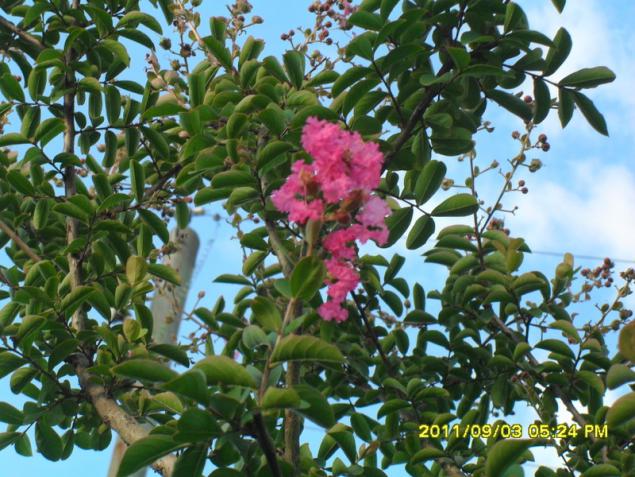 Name:  141.jpg
Views: 667
Size:  70.9 KB