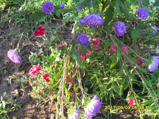 Name:  163.jpg
Views: 652
Size:  74.1 KB