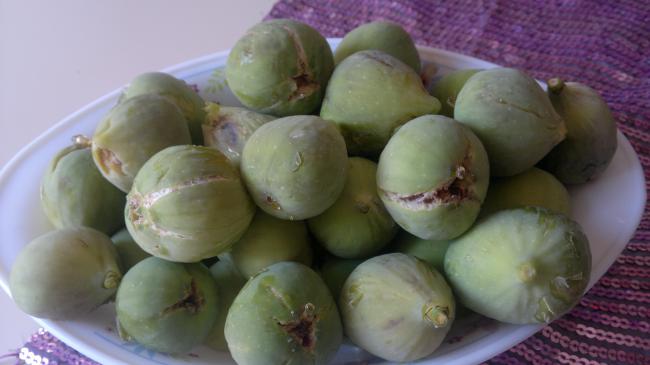Name:  tabak incr.jpg
Views: 1801
Size:  28.9 KB