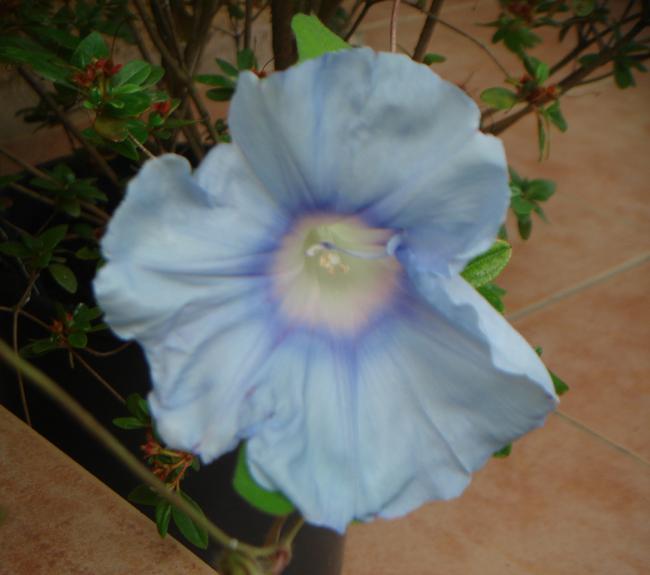 Name:  JMG 29.jpg
Views: 686
Size:  33.4 KB