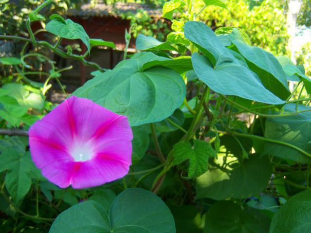 Name:  100_2674.jpg
Views: 286
Size:  48.8 KB