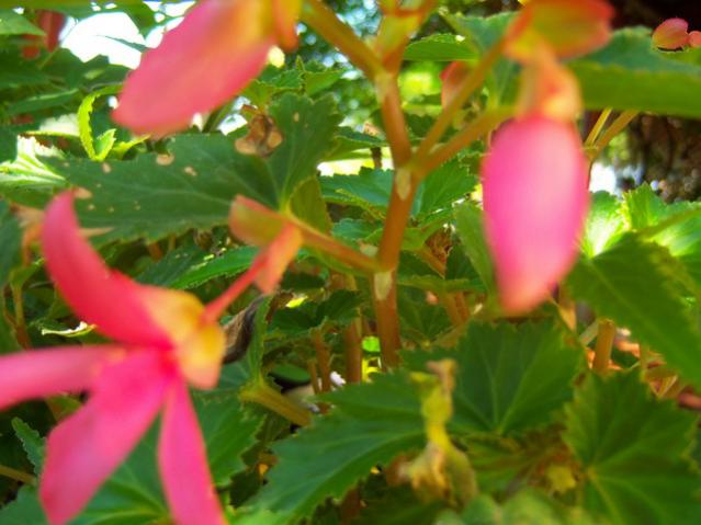 Name:  100_2678.jpg
Views: 302
Size:  41.4 KB