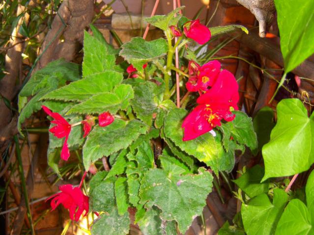 Name:  100_2681.jpg
Views: 285
Size:  60.5 KB