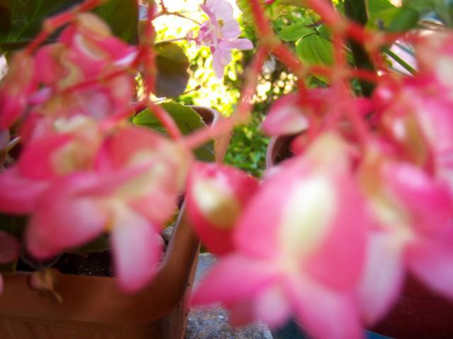 Name:  100_2693.jpg
Views: 296
Size:  33.1 KB