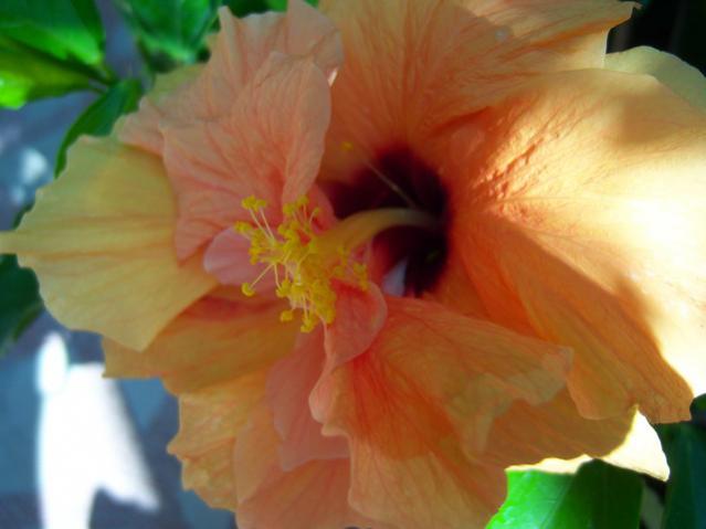 Name:  100_2697.jpg
Views: 293
Size:  28.7 KB