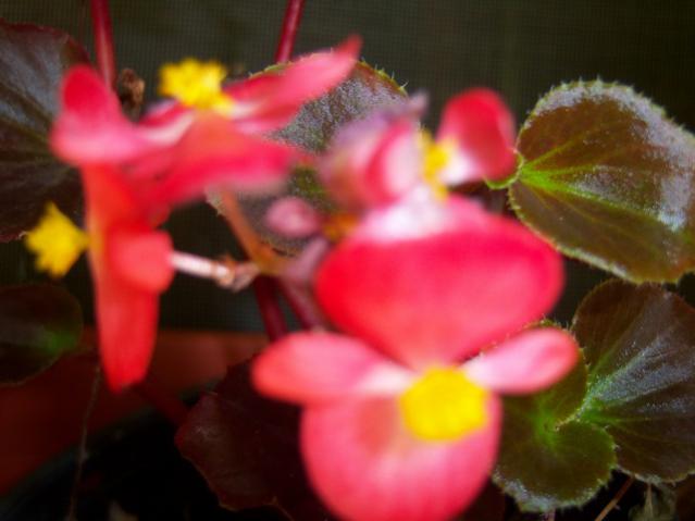 Name:  100_2699.jpg
Views: 288
Size:  30.0 KB
