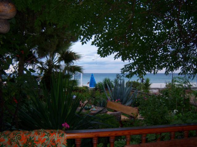 Name:  100_2726.jpg
Views: 326
Size:  57.0 KB