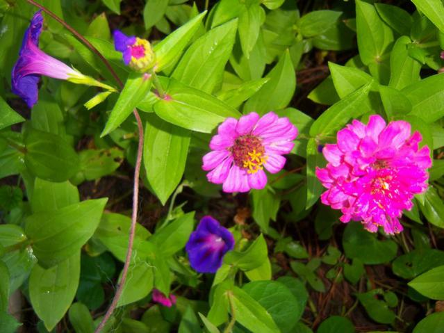 Name:  100_2732.jpg
Views: 299
Size:  50.8 KB