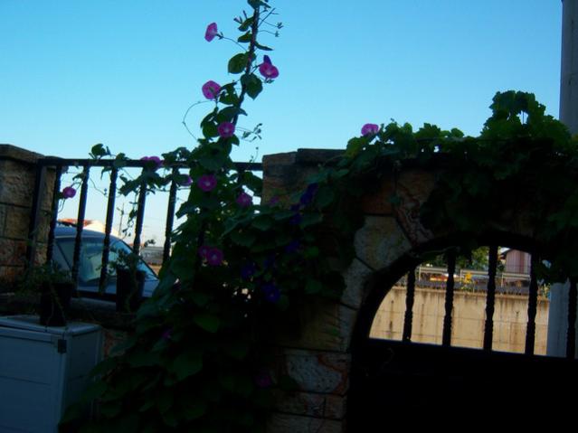 Name:  100_2741.jpg
Views: 277
Size:  32.8 KB