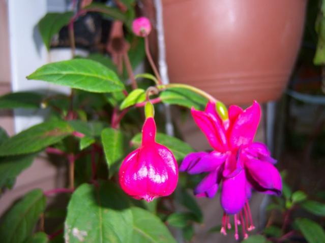 Name:  100_2744.jpg
Views: 275
Size:  31.9 KB