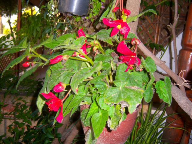 Name:  100_2752.jpg
Views: 277
Size:  67.6 KB