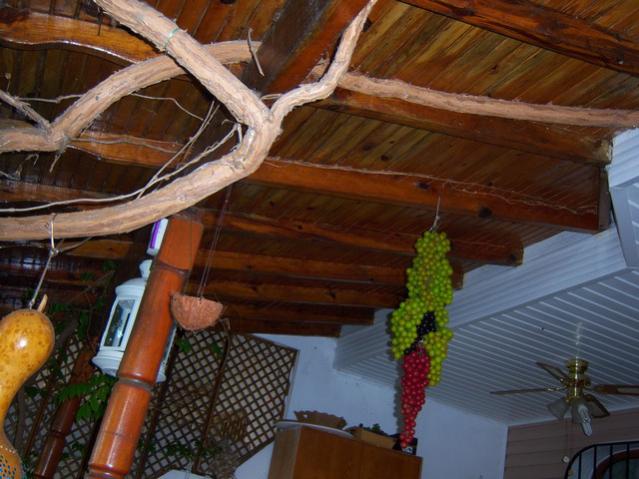 Name:  100_2761.jpg
Views: 385
Size:  50.9 KB