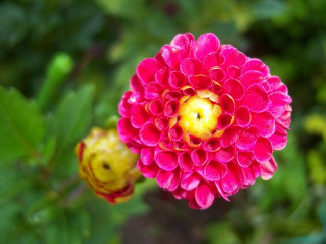 Name:  100_2766.jpg
Views: 398
Size:  34.4 KB
