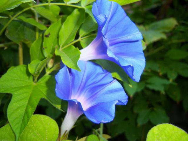 Name:  100_2776.jpg
Views: 383
Size:  38.5 KB