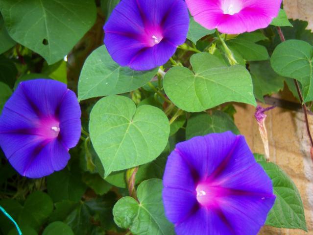 Name:  100_2780.jpg
Views: 377
Size:  41.6 KB