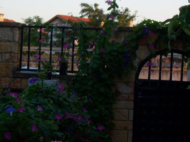 Name:  100_2781.jpg
Views: 378
Size:  39.1 KB