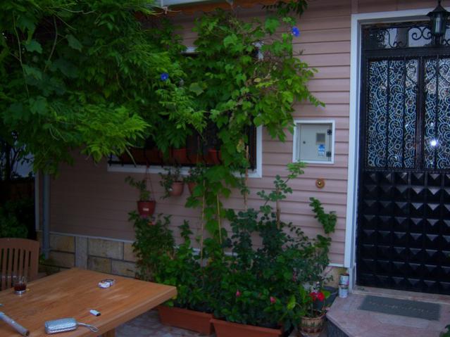 Name:  100_2799.jpg
Views: 670
Size:  49.5 KB