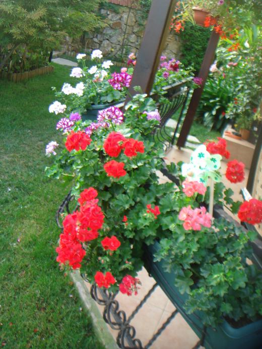 Name:  SARDUNYA 2.jpg
Views: 1027
Size:  75.7 KB