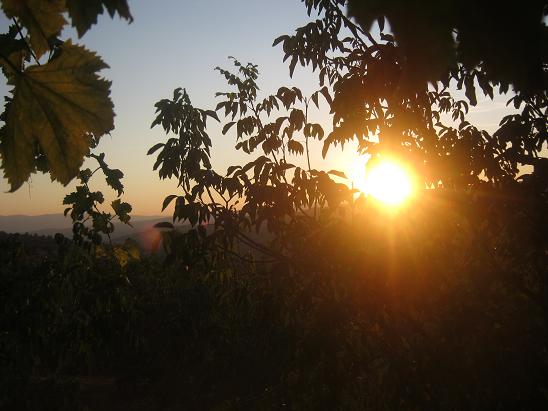 Name:  gnbatm.JPG
Views: 1238
Size:  49.2 KB