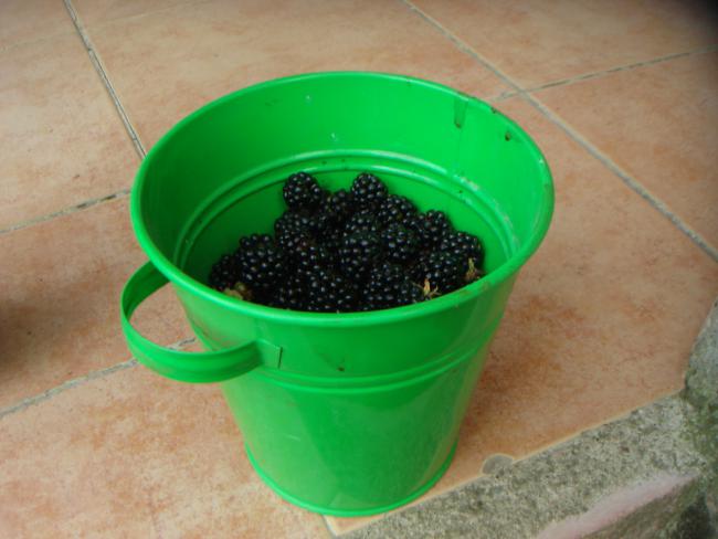 Name:  BRTLEN 3.jpg
Views: 957
Size:  35.9 KB