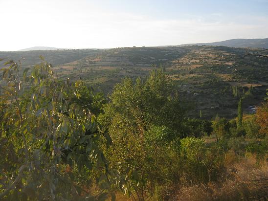 Name:  bahe 1.JPG
Views: 1409
Size:  58.2 KB