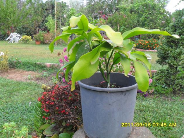 Name:  093.jpg
Views: 866
Size:  70.5 KB