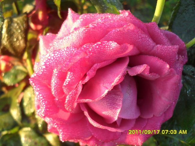 Name:  003.jpg
Views: 811
Size:  51.2 KB