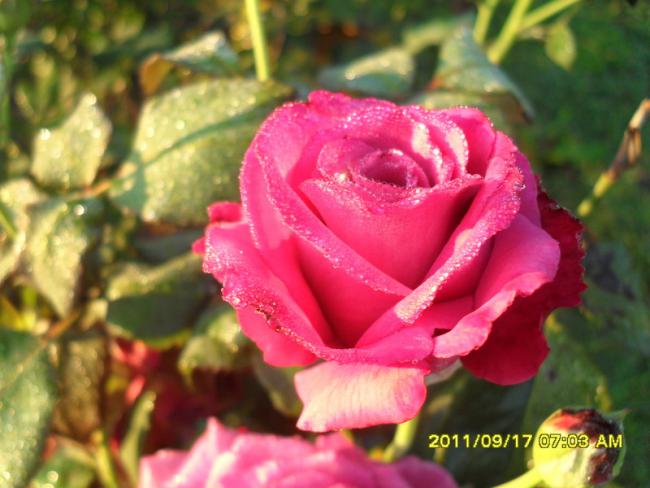 Name:  004.jpg
Views: 772
Size:  44.7 KB