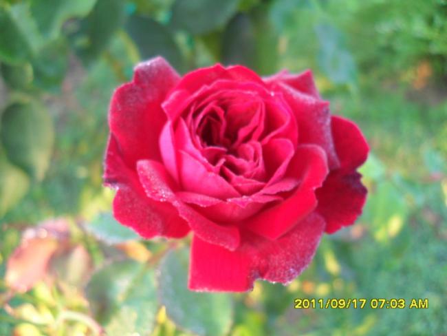 Name:  005.jpg
Views: 761
Size:  33.6 KB