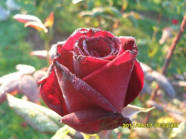 Name:  006.jpg
Views: 819
Size:  44.3 KB
