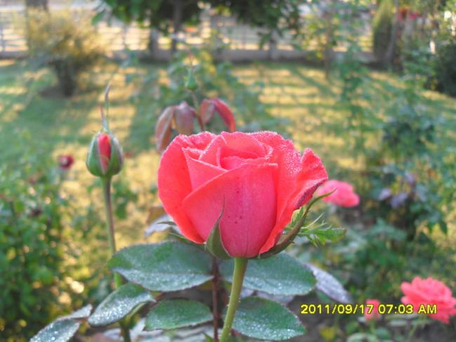 Name:  008.jpg
Views: 736
Size:  46.0 KB