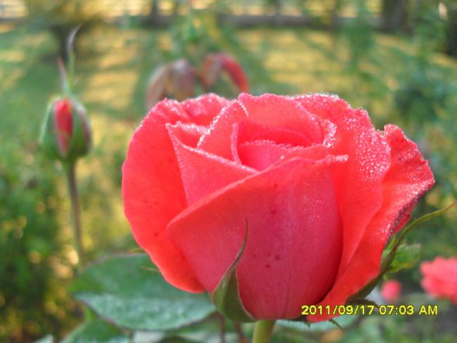 Name:  007.jpg
Views: 745
Size:  36.5 KB