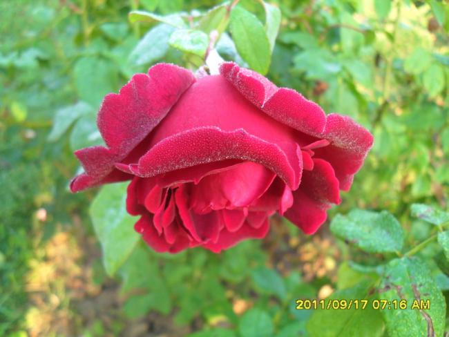 Name:  032.jpg
Views: 719
Size:  43.4 KB