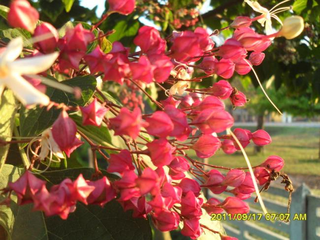 Name:  013.jpg
Views: 1030
Size:  61.6 KB