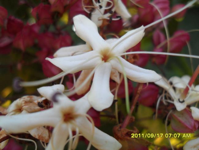 Name:  014.jpg
Views: 856
Size:  36.1 KB