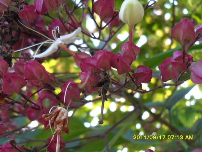 Name:  030.jpg
Views: 785
Size:  49.8 KB