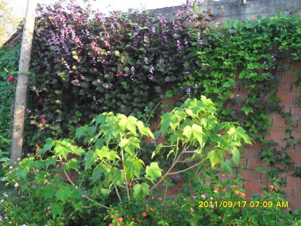 Name:  020.jpg
Views: 723
Size:  71.6 KB