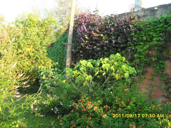 Name:  023.jpg
Views: 714
Size:  72.1 KB